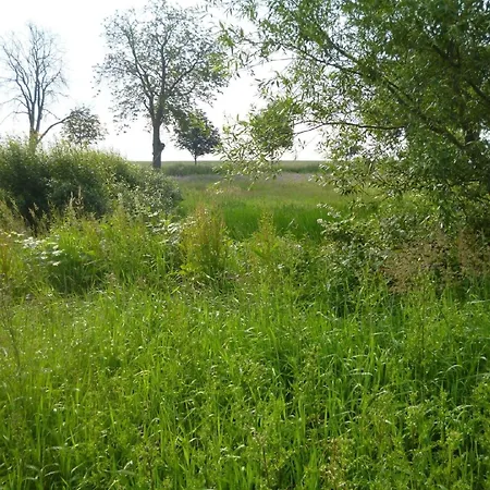 Gemuetliches Mit Garten Und Grill Holiday home *