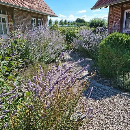 Gemuetliches Mit Garten Und Grill Holiday home *